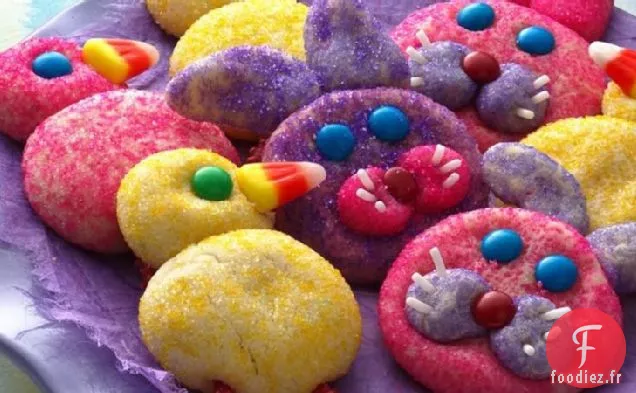 Biscuits Lapin et Poussin