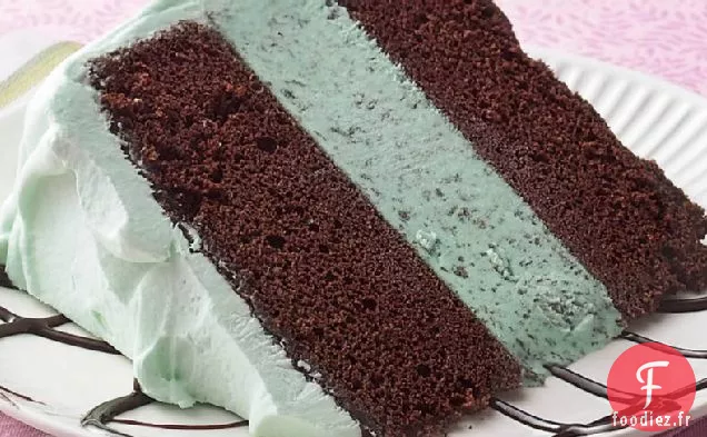 Gâteau à la Crème Glacée À la Menthe et au Chocolat