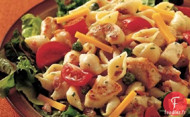 Salade de Pâtes Club