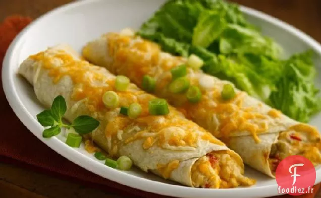Enchiladas Faciles au Poulet et au Fromage