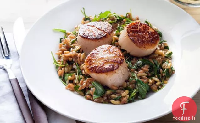 Pétoncles Poêlés au Farro Citronné et Salade de Roquette