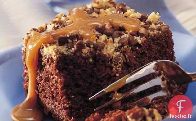 Gâteau Pique-Nique aux Pépites de Chocolat aux Noix