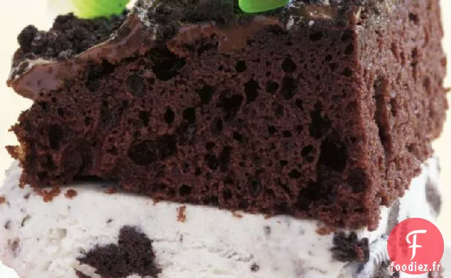 Gâteau à la Crème Glacée