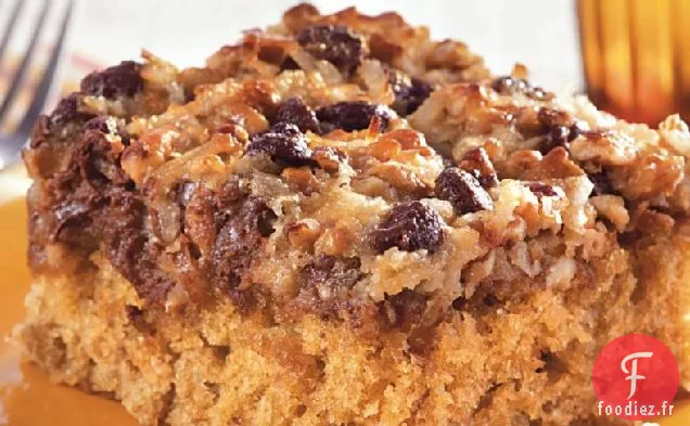 Gâteau aux Flocons d'Avoine aux Pépites de Chocolat
