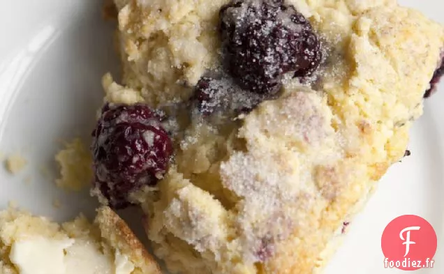 Scones Mûres-Citron