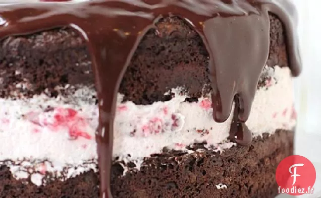 Gâteau à la Crème Chocolat-Framboise