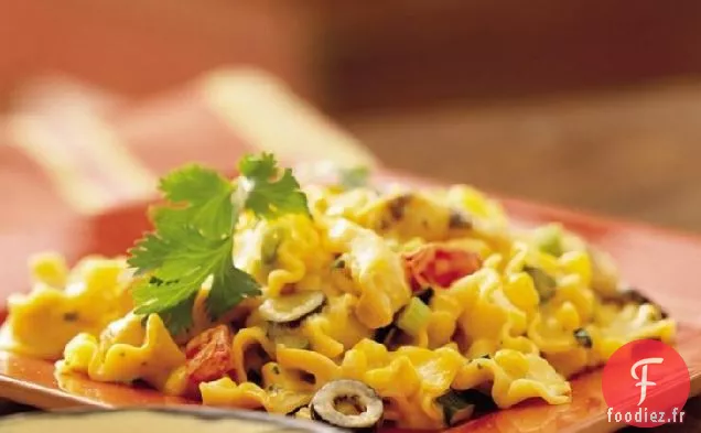 Casserole de Poulet au Fromage du Sud-Ouest