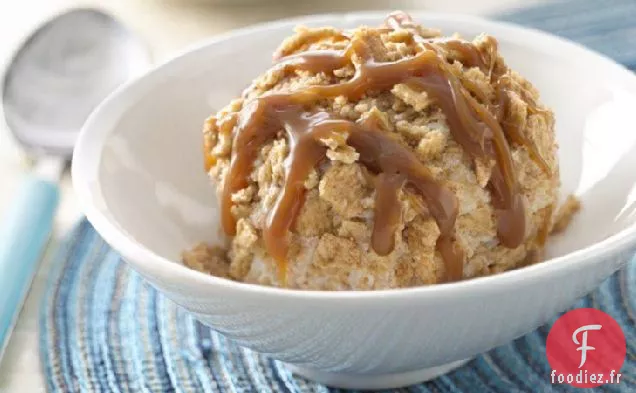 Crème Glacée Frite Simulée