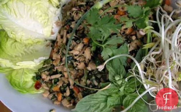 Wraps De Laitue Asiatique Avec Des Scapes À L'Ail