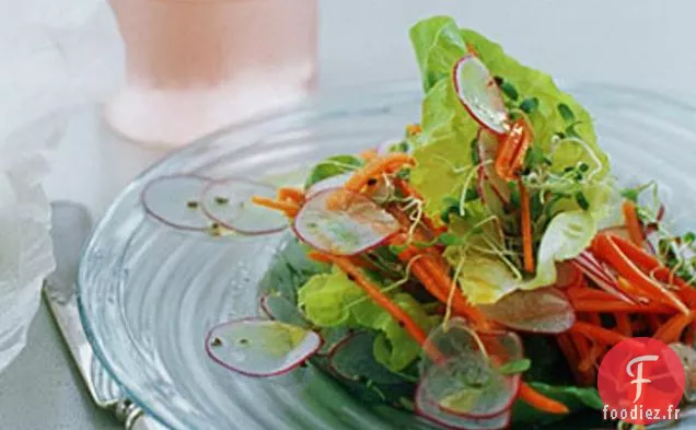Salade De Laitue Butterhead Et Légumes Printaniers