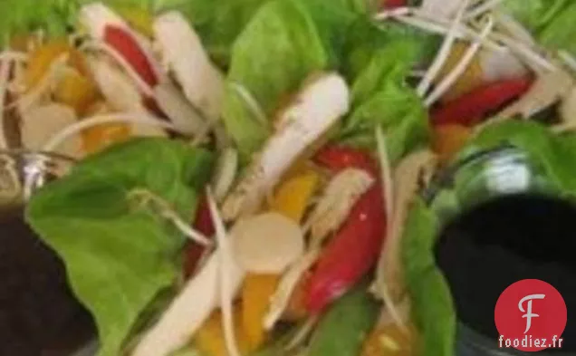 Kewl Wraps de Laitue Asiatique