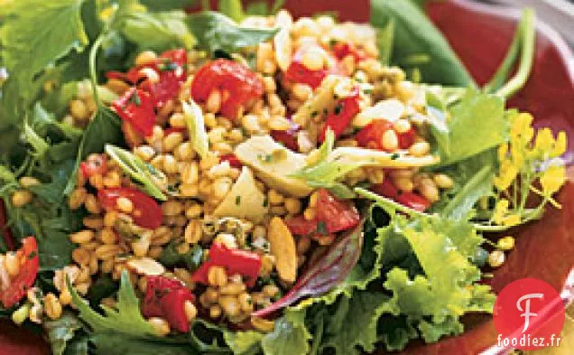 Salade de Blé d'Été