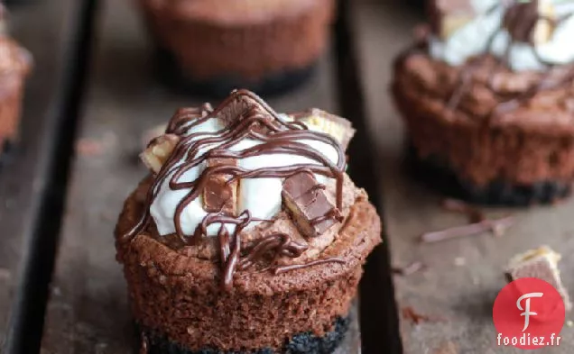 Mini Tartes au Fromage au Chocolat Death By