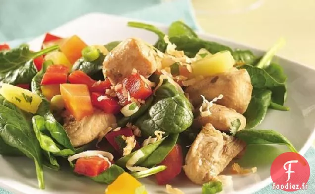 Salade de Poulet Garnie de Salsa Tropicale