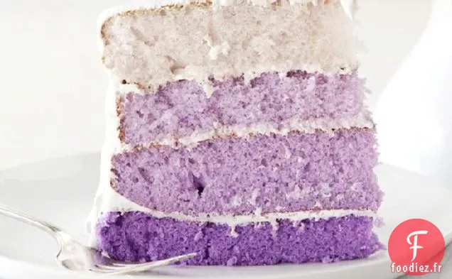 Gâteau de Couche Ombre Pourpre