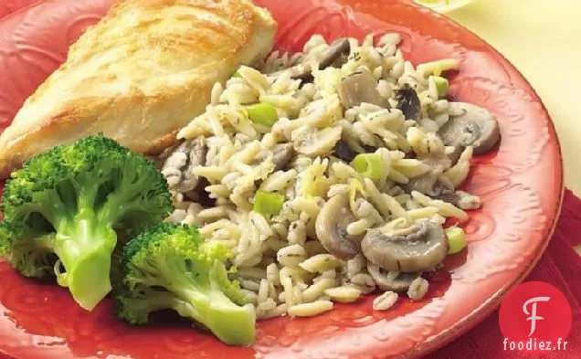 Orzo - Pilaf d'Orge