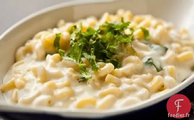 Macaroni au Fromage Mozzarella