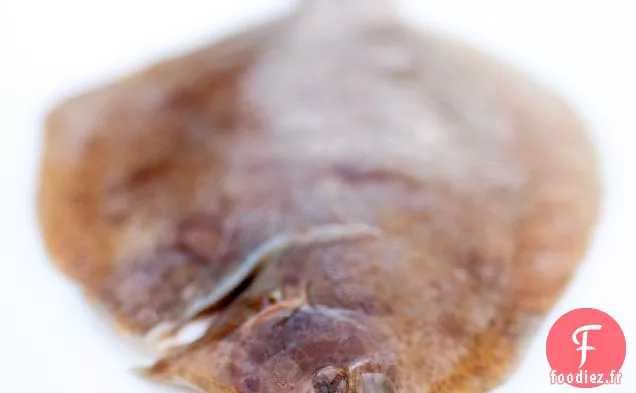 Sole Citronnée, Chicorée Et Coques