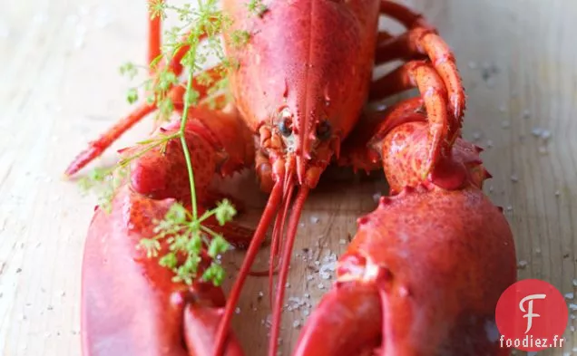 Salade De Homard À L'Estragon