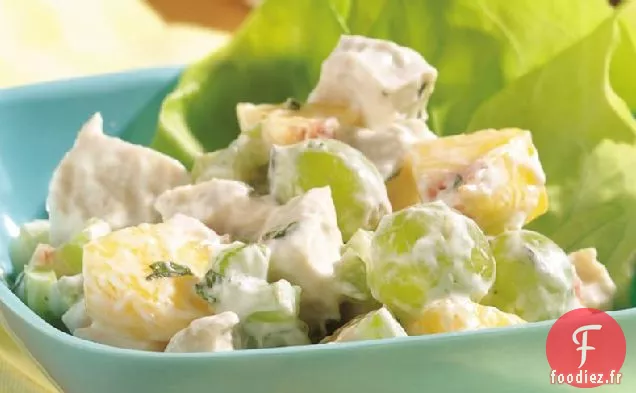 Salade de Fruits au Poulet