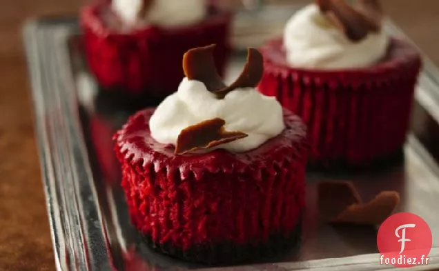 Mini Gâteaux au Fromage en Velours Rouge