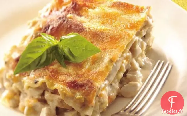 Lasagne Crémeuse au Poulet