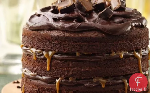 Gâteau au Chocolat Grand, Noir et Corsé