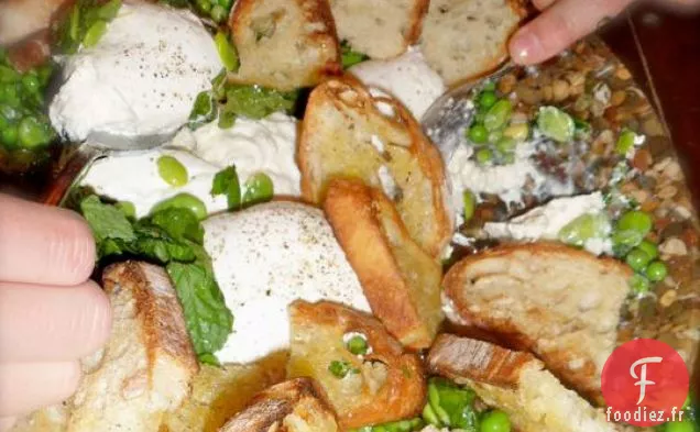 Fèves Et Petits Pois À La Burrata