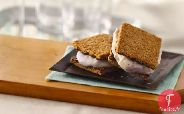 Sandwichs à la Crème Glacée au Yogourt Glacé Fruité