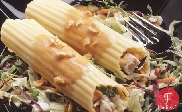 Salade de Manicotti au Poulet Asiatique