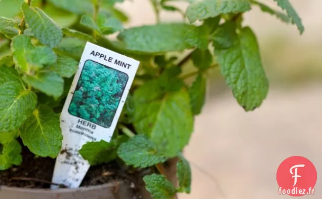 Côté Légumes Facile : Petits Pois Frappés