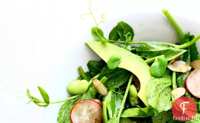 Salade De Pousses De Pois Aux Fèves