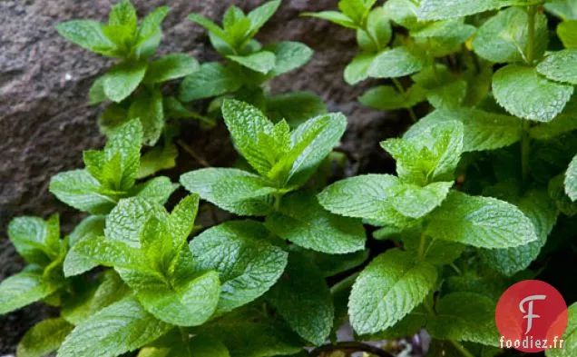 Houmous aux Pois de Printemps