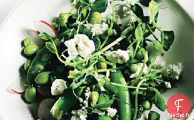 Salade De Pois Et Radis Au Fromage De Chèvre