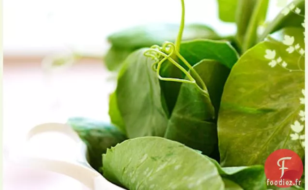 Une Base De Bouillon de Pois