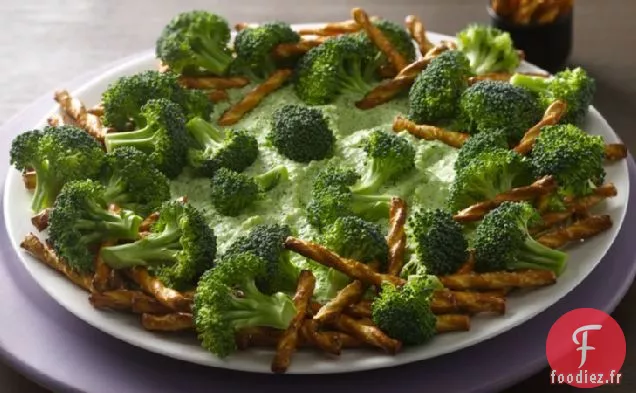 Boogie Monster Bog avec des plongeons de la forêt