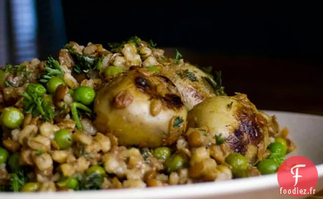 Pommes de terre Épicées Avec Orge et Lentilles