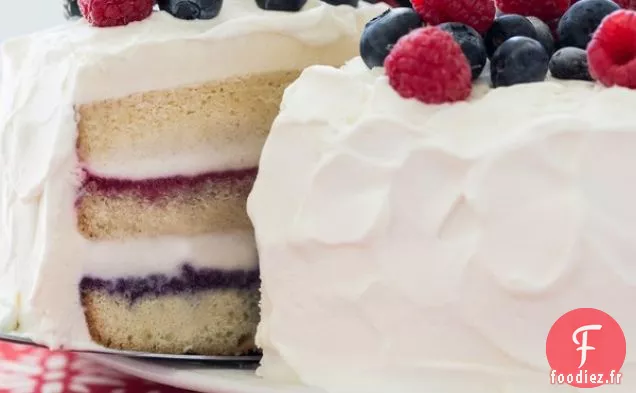 Gâteau à la Crème Glacée Rouge, Blanche et Bleue