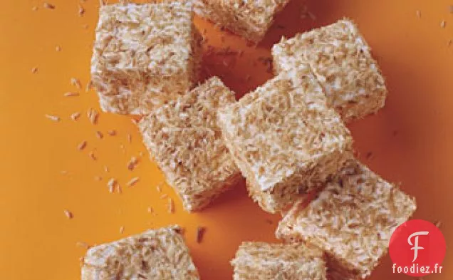 Carrés de Guimauve Grillés à la Noix de Coco