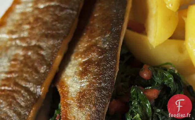 Müllerin à l'omble de Fontaine