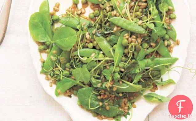 Trois Petits Pois à l'Orge, Chili et Ail Vert
