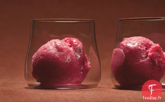 Sorbet Canneberge et Gousse de Vanille
