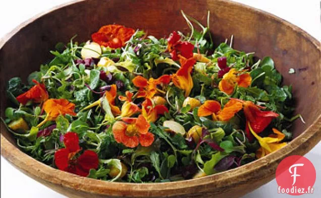 Légumes Verts avec Betteraves Rôties et Pommes de Terre