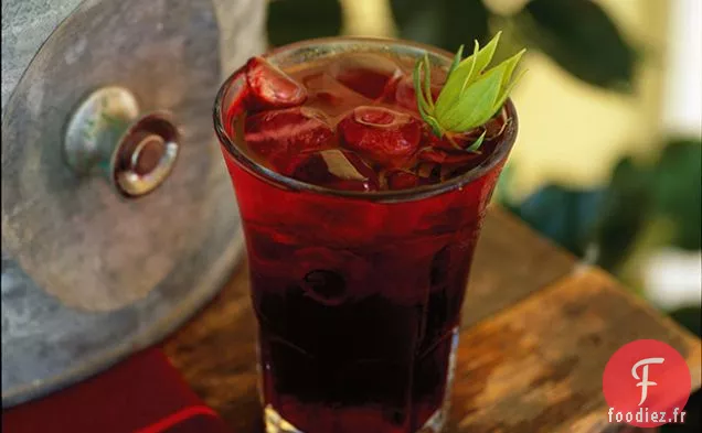 Punch Hibiscus
