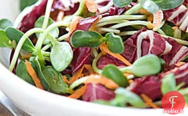 Salade De Carottes Et De Tournesol