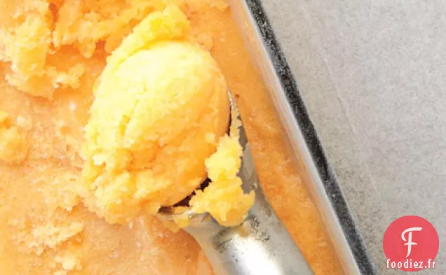 Flotteur de Sorbet Abricot
