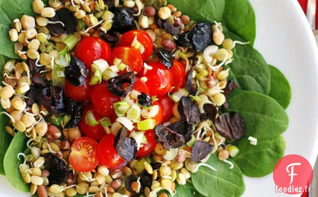 Tomates, Germes De Soja Mélangés Et Épinards