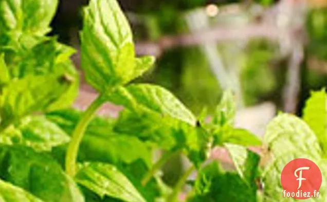 Dîner Ce Soir : Épinards À La Menthe Et Crème Fraîche