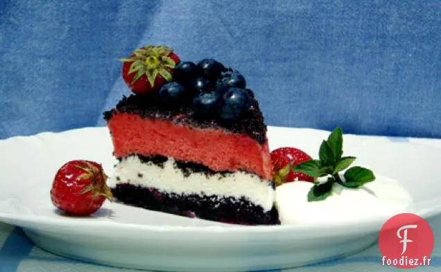 Gâteau à la Crème Glacée Rouge, Blanche et Bleue