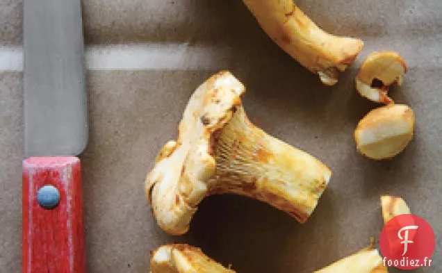 Salade de Chanterelles Tendre